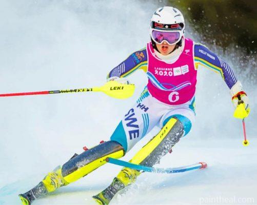 Skiing Olympic Games Painting By Numbers Kits