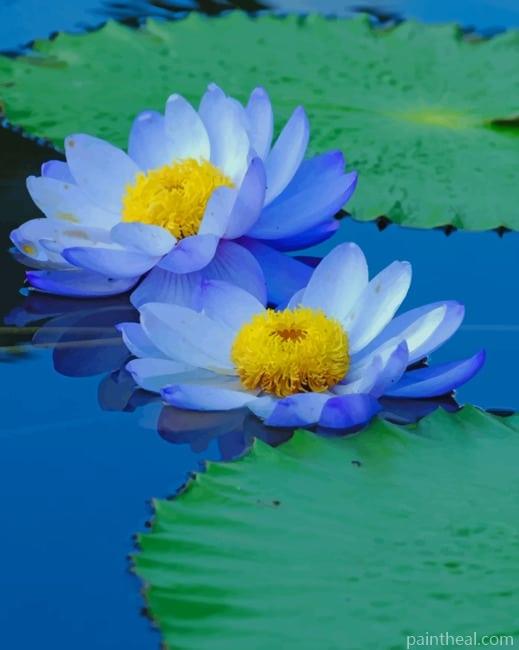 Blue Sacred Lotus NEW Painting By Numbers Kits