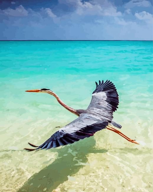 Crane Bird In Water Painting By Numbers Kits