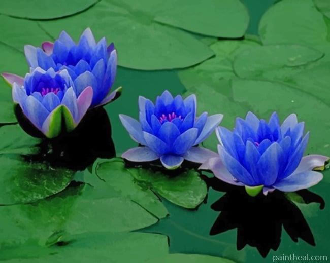 Blue Lotus Flowers NEW Painting By Numbers Kits
