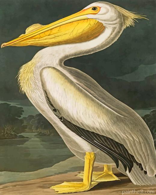 Aesthetic White Pelican Painting By Numbers Kits