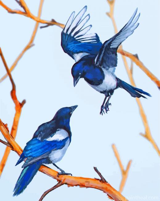 Magpie Birds Painting By Numbers Kits