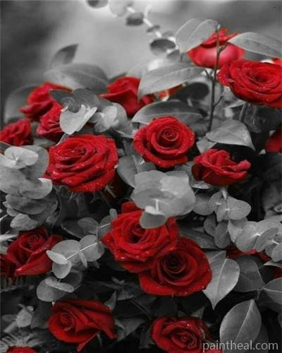 Red Roses With Grey Leaf Flowers Painting By Numbers Kits
