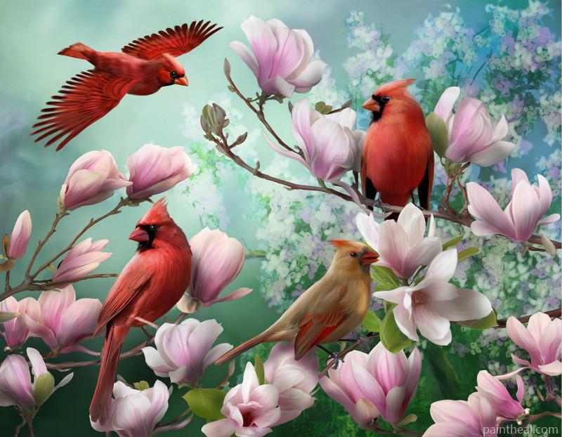 Cardinals On Flowers Painting By Numbers Kits