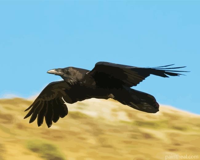 Flying Raven Painting By Numbers Kits