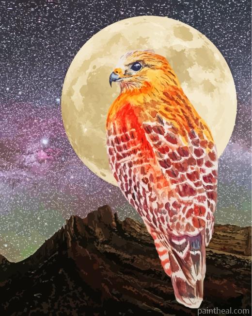 Hawk Bird Moonlight Painting By Numbers Kits
