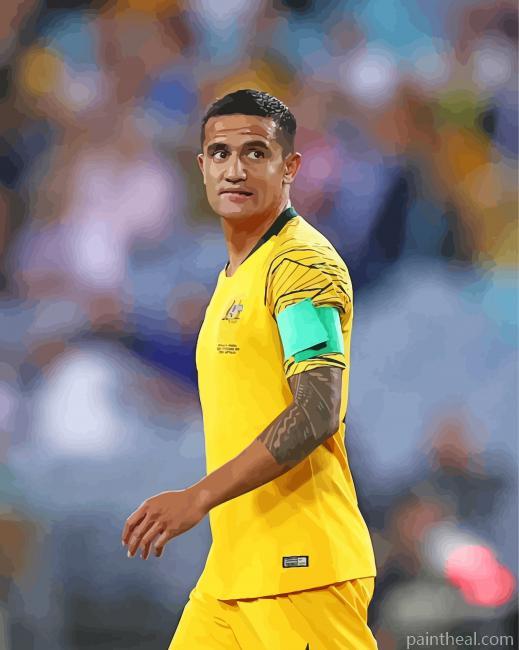 Tim Cahill Painting By Numbers Kits