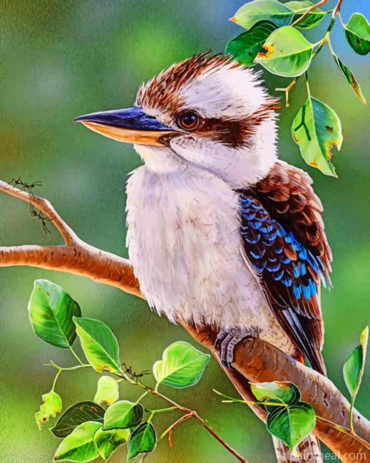 Bird Kookaburra On Tree Painting By Numbers Kits
