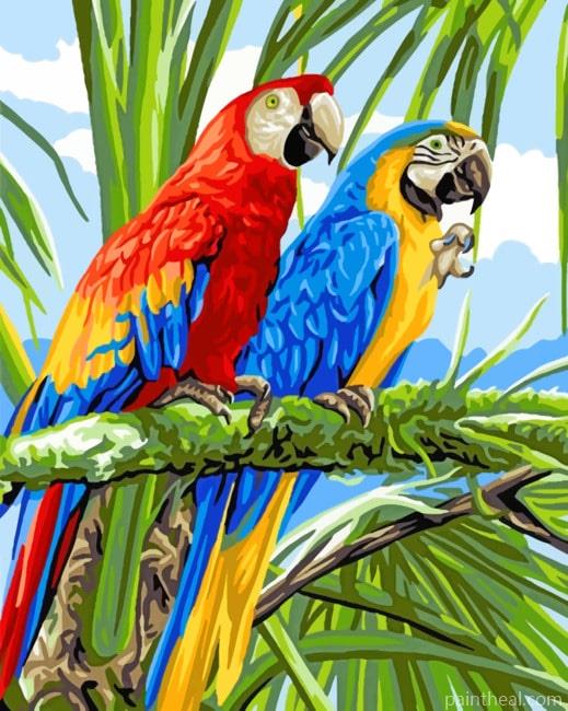 Caribbean Parrots Painting By Numbers Kits
