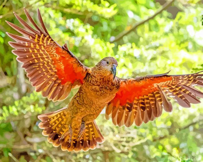 Flying Kea Bird Painting By Numbers Kits