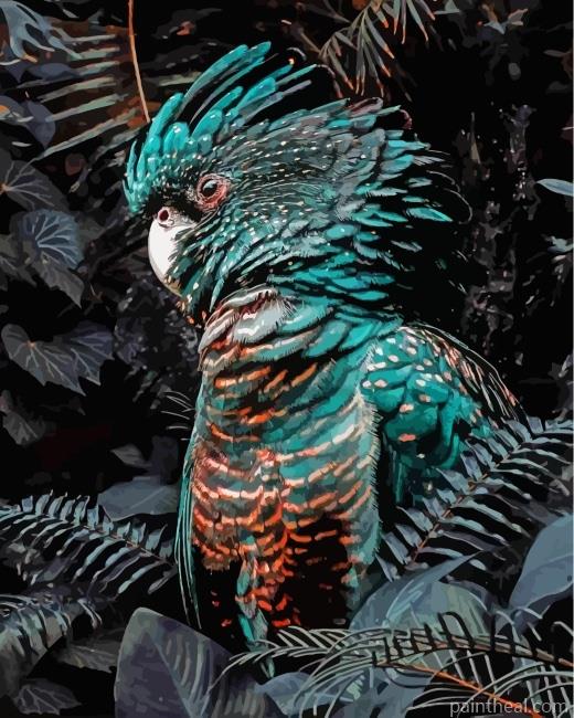 Black Cockatoo Painting By Numbers Kits