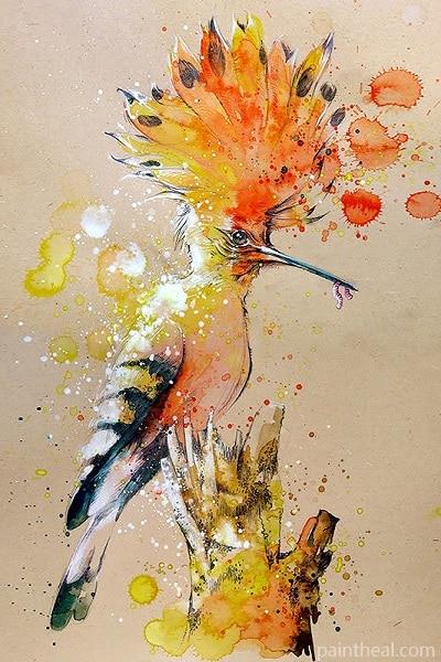 Splashed Hoopoe Painting By Numbers Kits