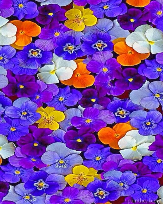 Flowers Painting By Numbers Kits