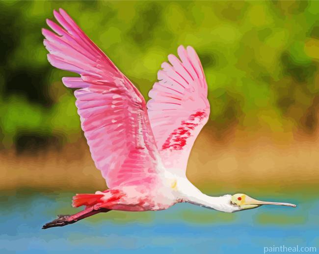 Flying Roseate Spoonbills Painting By Numbers Kits