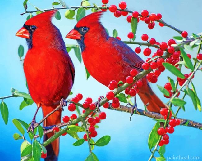 Red Cardinals Painting By Numbers Kits