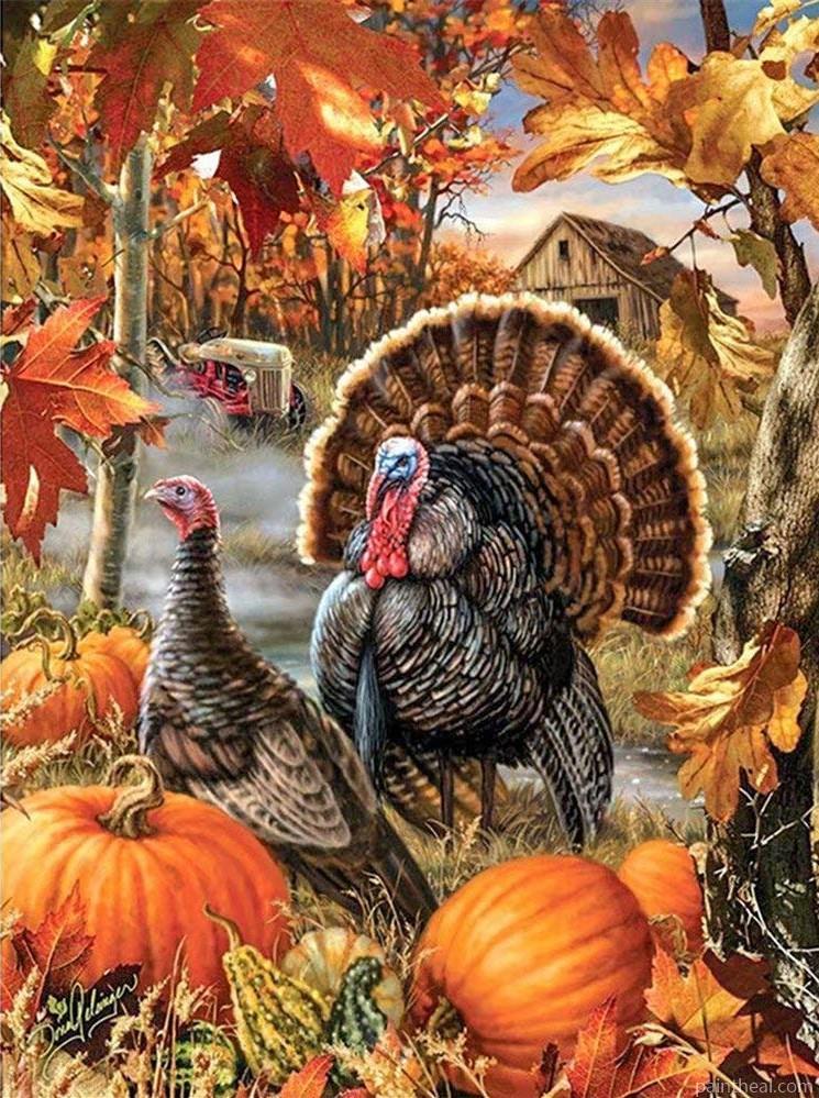 Turkeys Birds Painting By Numbers Kits