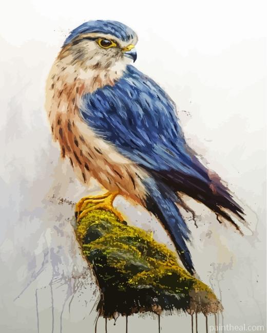 Merlin Falcon Bird Painting By Numbers Kits