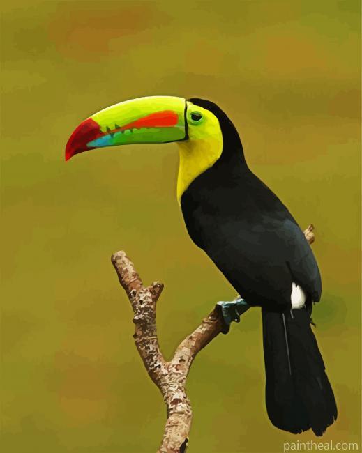 Tucan On Stick Painting By Numbers Kits
