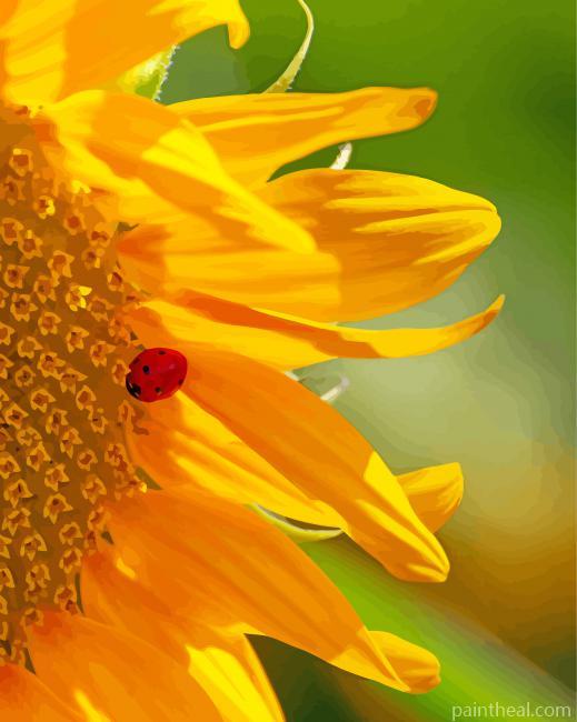 Sunflowers Ladybug Insect Painting By Numbers Kits