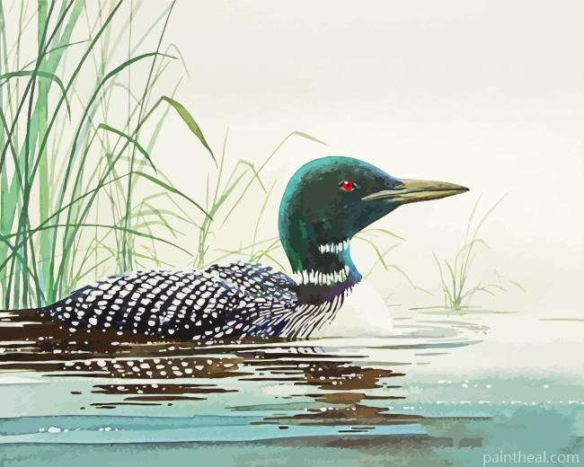 Loon In Water Art Painting By Numbers Kits