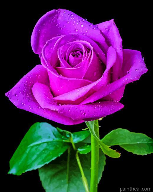 Aesthetic Purple Rose Painting By Numbers Kits
