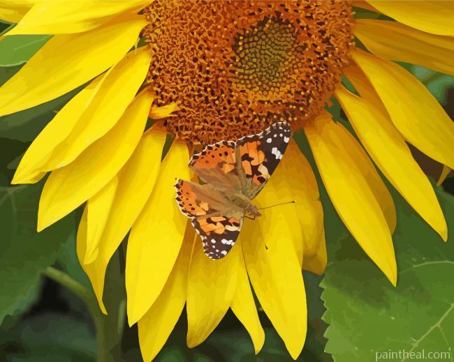 Butterfly With Sunflowers Painting By Numbers Kits