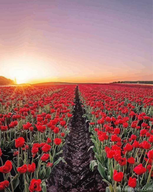 Rose Field Sunset Painting By Numbers Kits