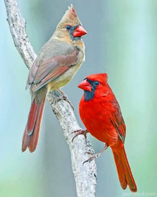 Red And Brown Birds Painting By Numbers Kits