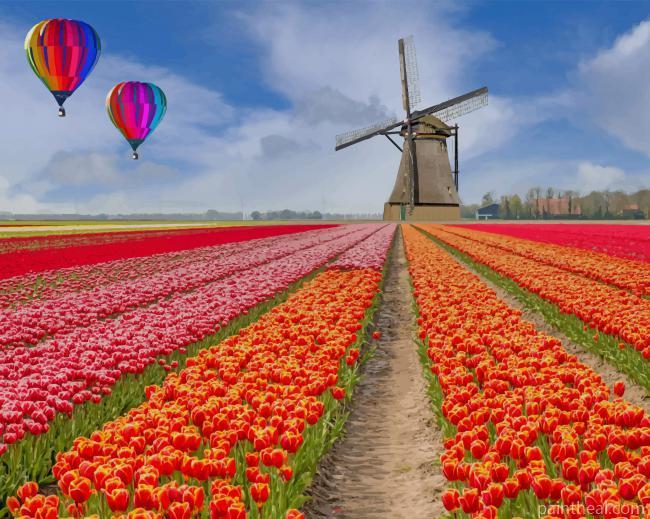 Tulips Field NEW Painting By Numbers Kits