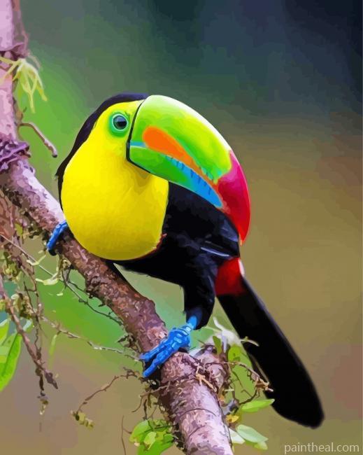 Aesthetic Tucan Bird Painting By Numbers Kits