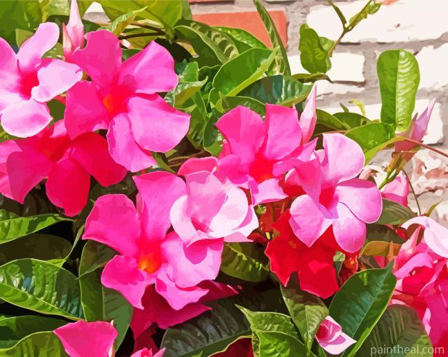 Pink Mandevilla Flowers Painting By Numbers Kits