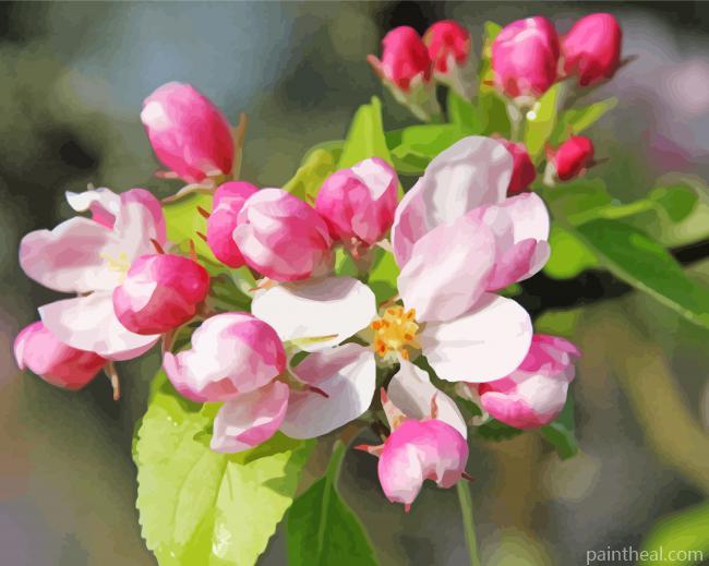 Aesthetic Apple Blossom Illustration Painting By Numbers Kits