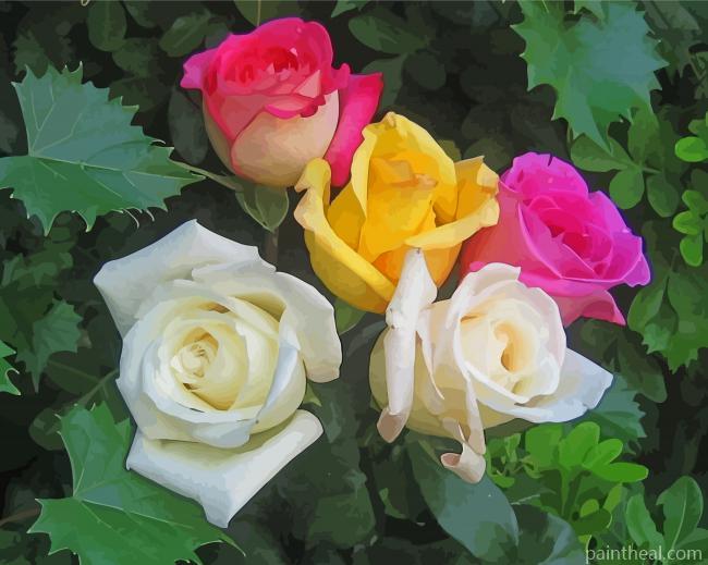 Yellow Pink And White Roses Painting By Numbers Kits