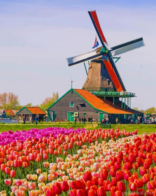 Tulips Flowers Field NEW Painting By Numbers Kits