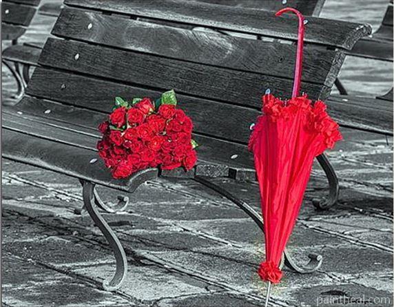 Red Flowers Umbrella Flowers Painting By Numbers Kits