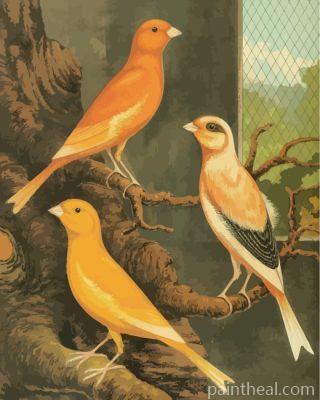 Canary Birds Painting By Numbers Kits