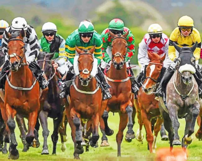 Horse Racing Painting By Numbers Kits