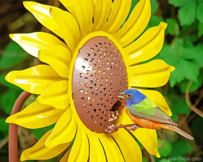 Colorful Bird On Sunflower Painting By Numbers Kits