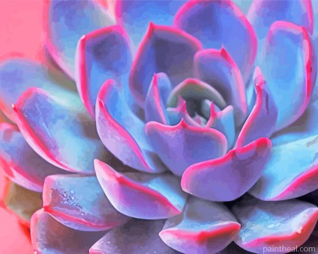 Purple Pink Succulent Echeveria Painting By Numbers Kits