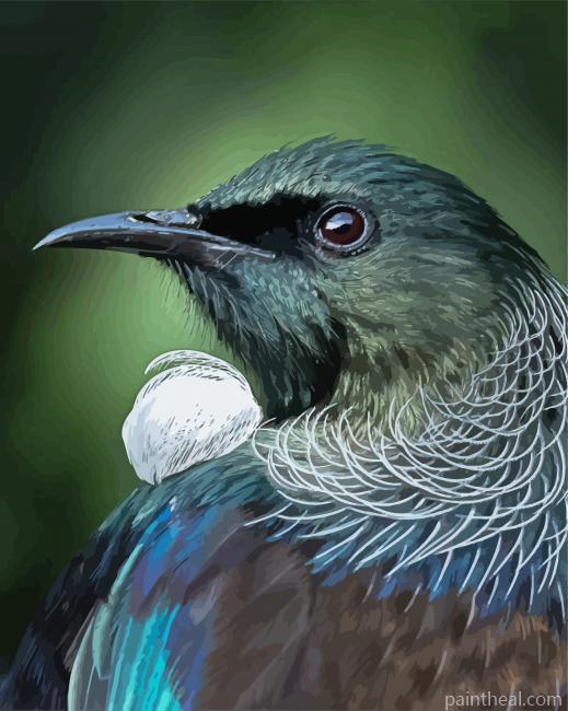 Honeyeater Tui Head Painting By Numbers Kits
