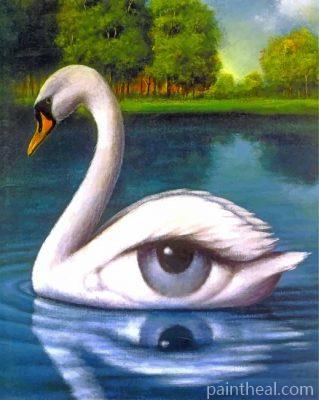 Swan Eye Painting By Numbers Kits
