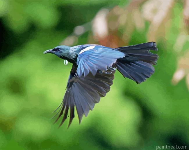 Flying Honeyeater Tui Painting By Numbers Kits