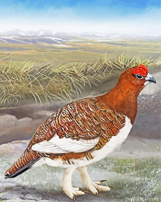 Willow Ptarmigan Bird Art Painting By Numbers Kits