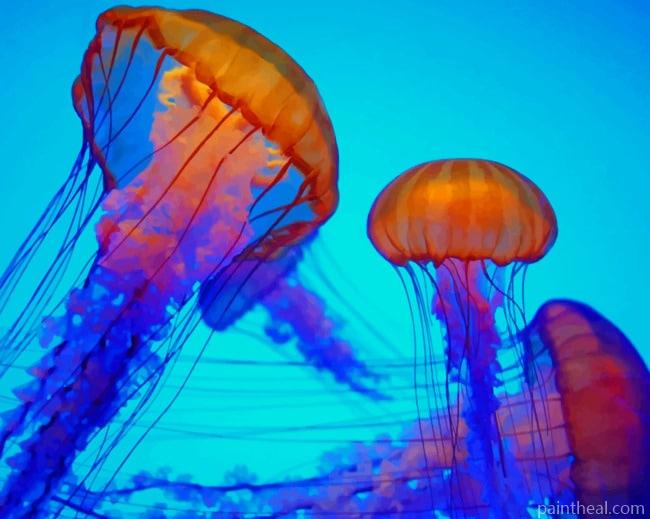 Colorful Jellyfish Painting By Numbers Kits