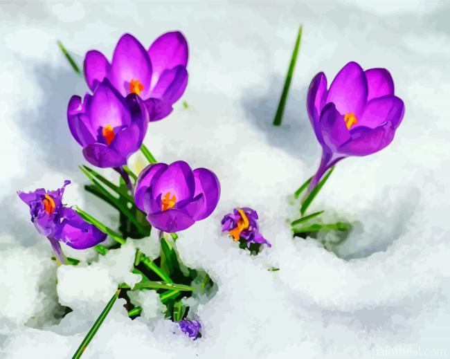Purple Flowers In Snow Painting By Numbers Kits