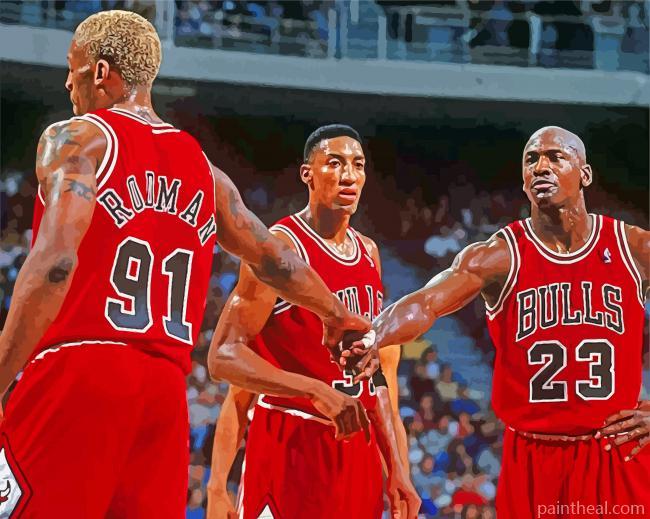 Chicago Bulls Players Painting By Numbers Kits
