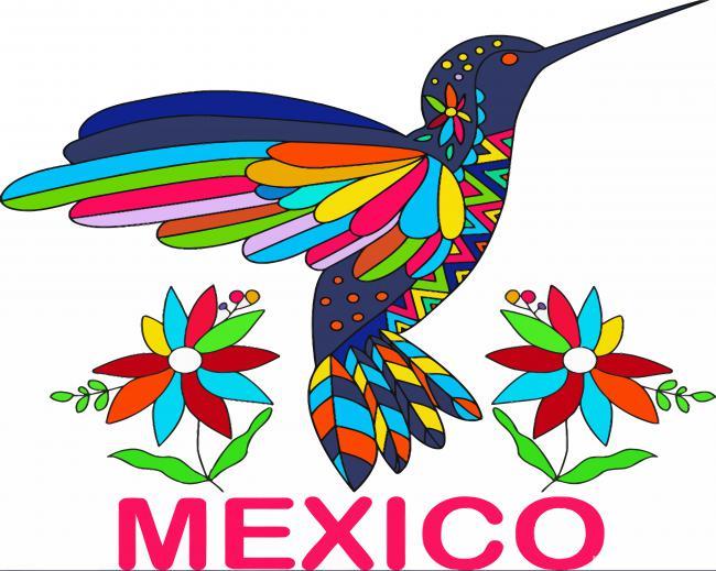 Mexican Bird Painting By Numbers Kits