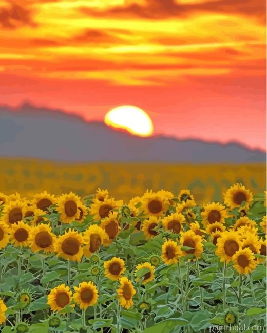 Sunflowers Flowers At Sunset Painting By Numbers Kits
