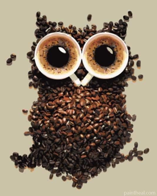 Coffee Beans Owl Painting By Numbers Kits