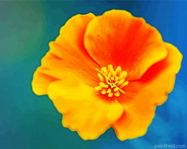 Beautiful California Poppy Flower Painting By Numbers Kits